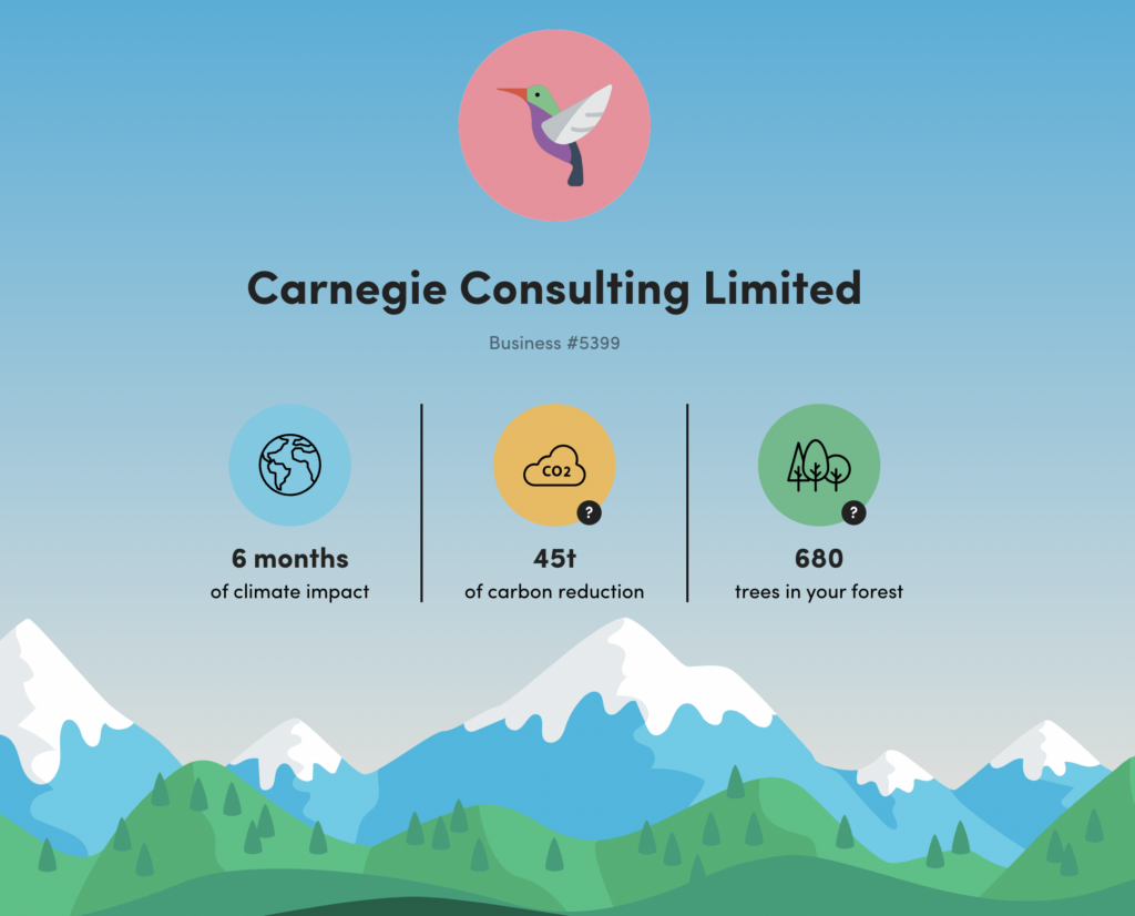 Carbon Offsetting